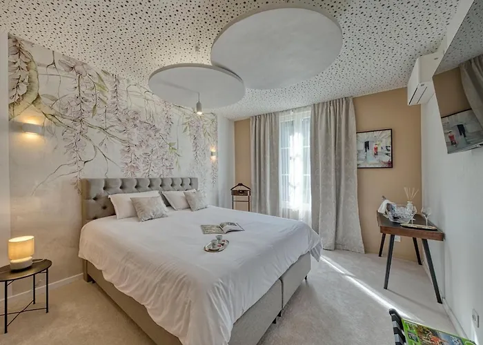 La Nuit Au Quai De Luxe Petit Meslier Appartement Troyes